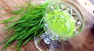 Living foods health tips