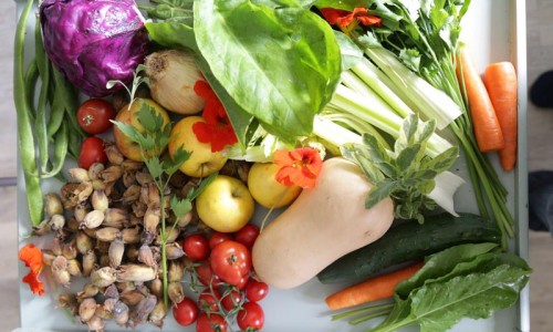 Living Foods colourful display